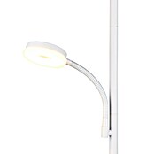 Trio Lighting Lámpara de pie LED con lector (18 W, Altura: 178 cm, Blanco, Blanco cálido) | BAUHAUS