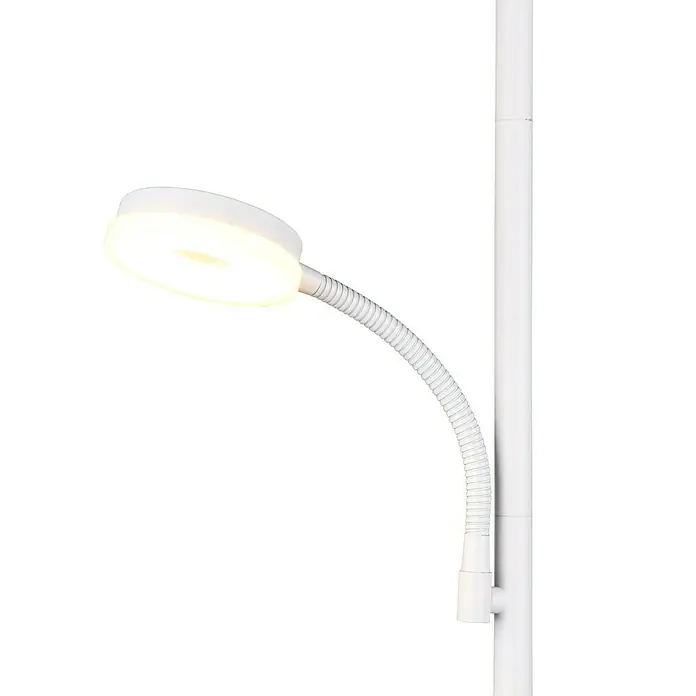Trio Lighting Lámpara de pie LED con lector - 18 W, Altura: 178 cm, Blanco, Blanco cálido - Esta imagen muestra una lámpara de pie con un cabezal redondo y un cuello flexible, que emite una luz brillante y enfocada.