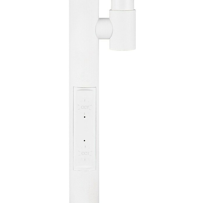 Trio Lighting Lámpara de pie LED con lector (18 W, Altura: 178 cm, Blanco, Blanco cálido) | BAUHAUS