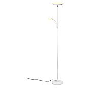 Trio Lighting Lámpara de pie LED con lector (18 W, Altura: 178 cm, Blanco, Blanco cálido) | BAUHAUS
