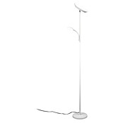 Trio Lighting Lámpara de pie LED con lector (18 W, Altura: 178 cm, Blanco, Blanco cálido) | BAUHAUS