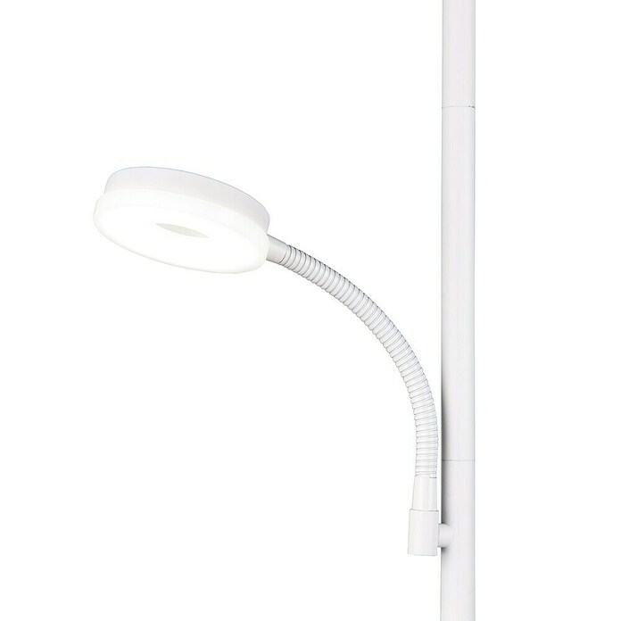 Trio Lighting Lámpara de pie LED con lector (18 W, Altura: 178 cm, Blanco, Blanco cálido) | BAUHAUS