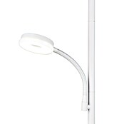 Trio Lighting Lámpara de pie LED con lector (18 W, Altura: 178 cm, Blanco, Blanco cálido) | BAUHAUS