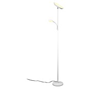 Trio Lighting Lámpara de pie LED con lector (18 W, Altura: 178 cm, Blanco, Blanco cálido) | BAUHAUS