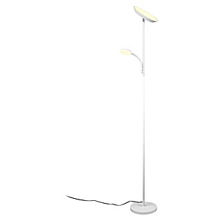 Trio Lighting Lámpara de pie LED con lector (18 W, Altura: 178 cm, Blanco, Blanco cálido)