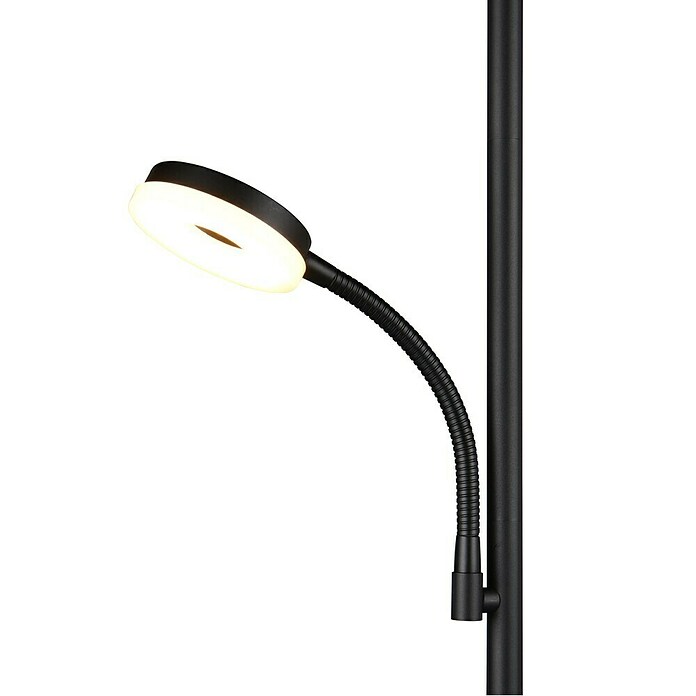 Trio Lighting Lámpara de pie LED con lector Specter (17 W, Altura: 178 cm, Negro, Blanco cálido) | BAUHAUS