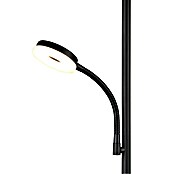 Trio Lighting Lámpara de pie LED con lector Specter (17 W, Altura: 178 cm, Negro, Blanco cálido) | BAUHAUS