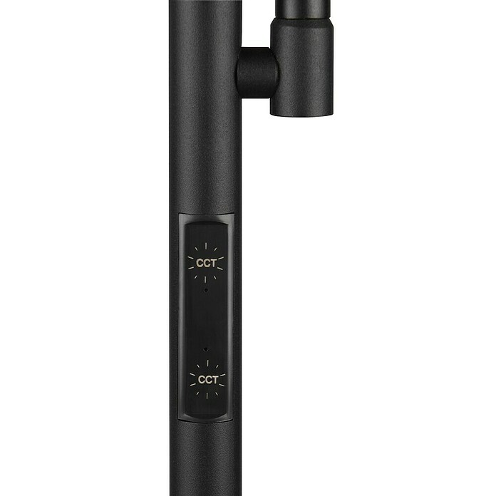 Trio Lighting Lámpara de pie LED con lector Specter (17 W, Altura: 178 cm, Negro, Blanco cálido) | BAUHAUS