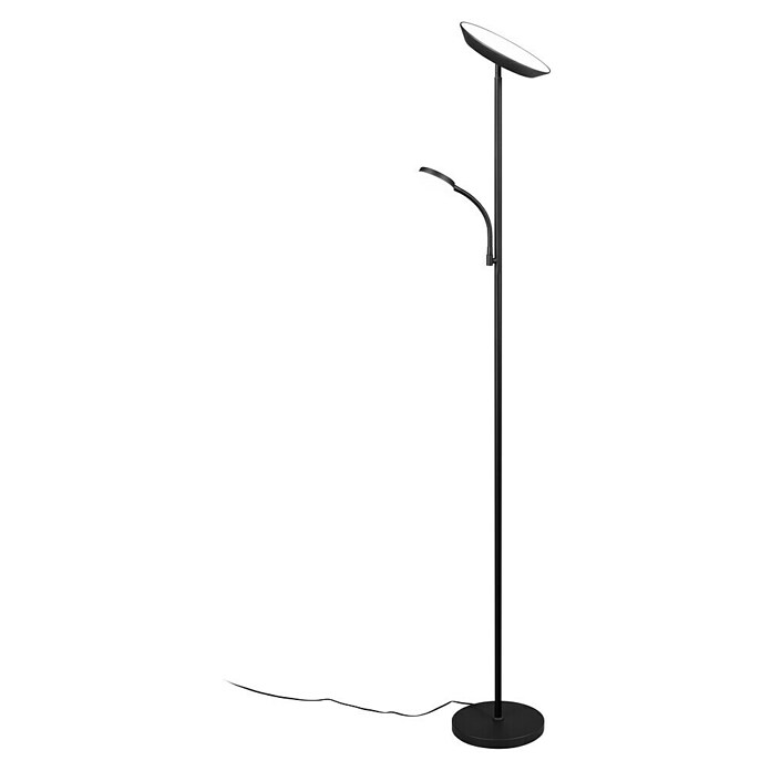 Trio Lighting Lámpara de pie LED con lector Specter (17 W, Altura: 178 cm, Negro, Blanco cálido) | BAUHAUS