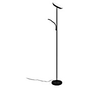Trio Lighting Lámpara de pie LED con lector Specter (17 W, Altura: 178 cm, Negro, Blanco cálido) | BAUHAUS