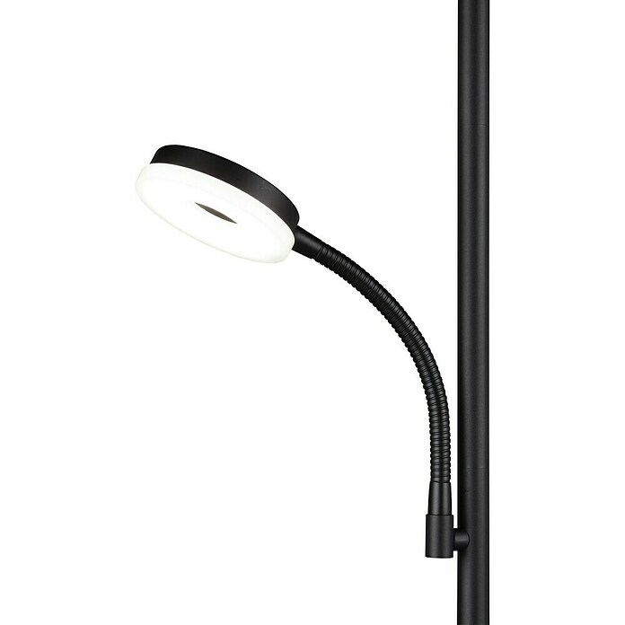 Trio Lighting Lámpara de pie LED con lector Specter (17 W, Altura: 178 cm, Negro, Blanco cálido) | BAUHAUS