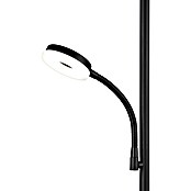Trio Lighting Lámpara de pie LED con lector Specter (17 W, Altura: 178 cm, Negro, Blanco cálido) | BAUHAUS
