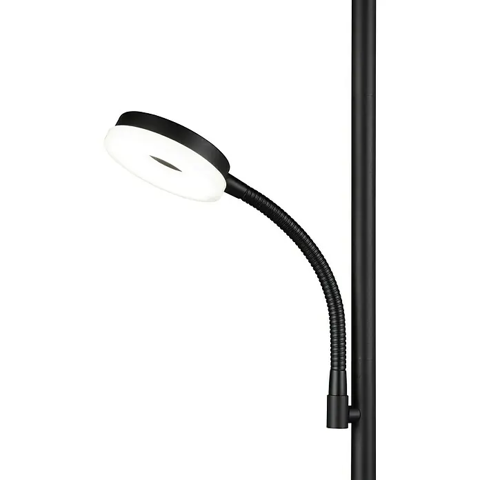 Trio Lighting Lámpara de pie LED con lector Specter - 17 W, Altura: 178 cm, Negro, Blanco cálido - Primer plano de una moderna lámpara de pie LED con cuello flexible y luz circular, perfecta para leer e iluminación de tareas.