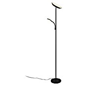Trio Lighting Lámpara de pie LED con lector Specter (17 W, Altura: 178 cm, Negro, Blanco cálido) | BAUHAUS