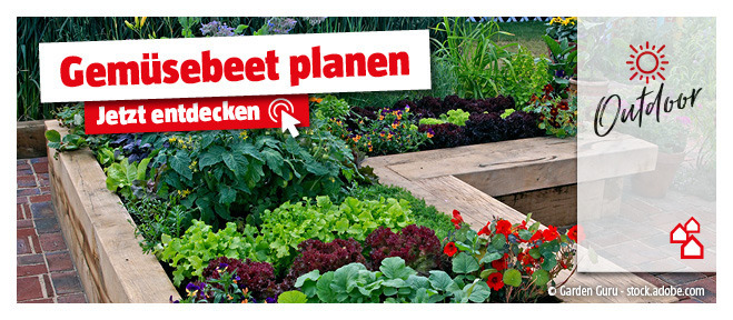 Tipps zum Gemüsebeet planen