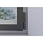 Hamstra Inzethor telescopisch (Antraciet, Hoogteverstelling: 90 cm - 140 cm, Breedteverstelling: 60 cm - 100 cm) | BAUHAUS