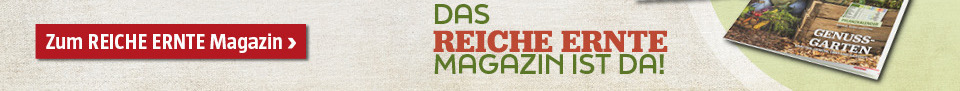 Reiche Ernte Magazin entdecken