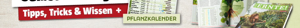 Reiche Ernte Magazin entdecken