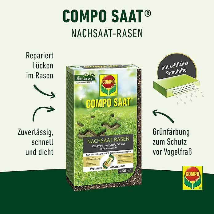 Compo Saat Nachsaat-Rasen Saat - 1 kg, 50 m² - Grüne und gelbe Packung COMPO SAAT Rasennachsaat-Samen mit seitlicher Streuhilfe und Grünkörnung zum Vogelschutz.