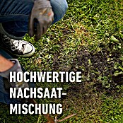 Compo Rasensamen Nachsaat-Rasen (2 kg, 100 m²) | BAUHAUS