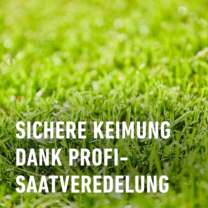 Compo Rasensamen Nachsaat-Rasen (2 kg, 100 m²) | BAUHAUS