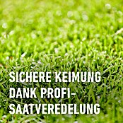 Compo Rasensamen Nachsaat-Rasen (2 kg, 100 m²) | BAUHAUS