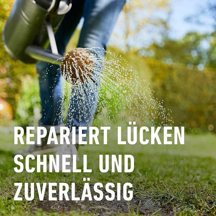 Compo Rasensamen Nachsaat-Rasen (2 kg, 100 m²) | BAUHAUS