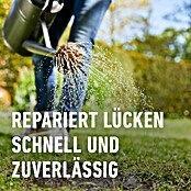 Compo Rasensamen Nachsaat-Rasen (2 kg, 100 m²) | BAUHAUS