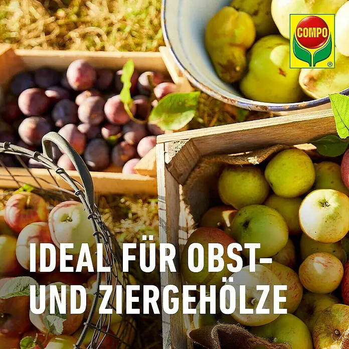 Compo Bio-Wundbalsam Lac Balsam® - 150 g - Compo Produkt für Obst- und Ziergehölze, gezeigt mit frischen Äpfeln, Pflaumen und Birnen in Kisten.