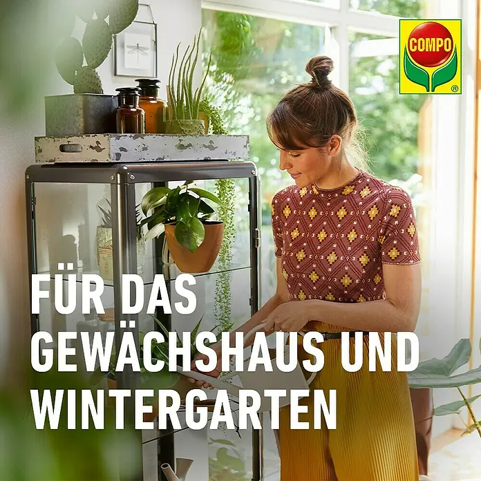 Compo Bio Gelbtafeln - 7 Stk. - Gartenprodukte für Gewächshäuser und Wintergärten, gezeigt mit einer Frau beim Gießen von Pflanzen.