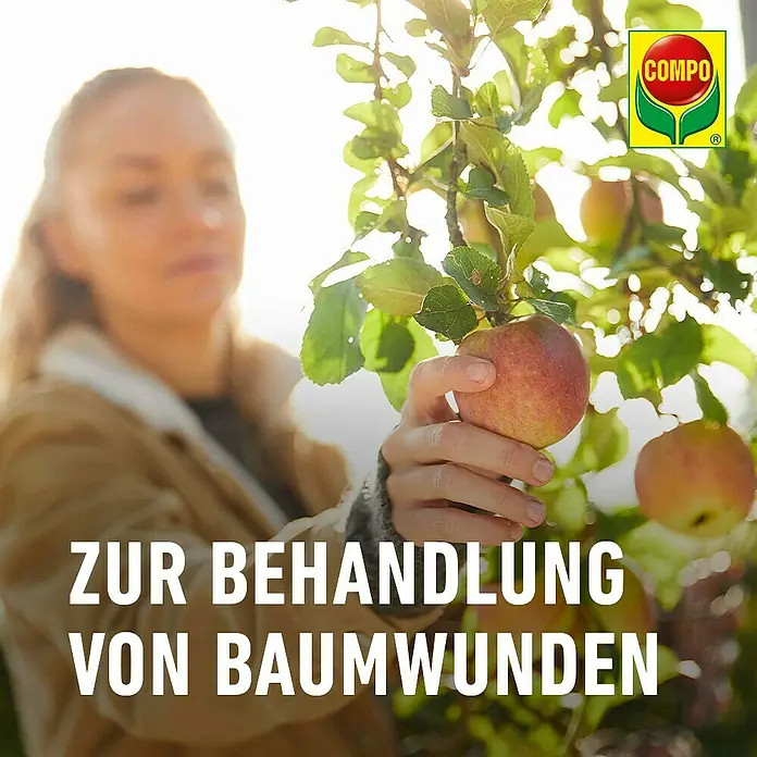 Compo Bio-Wundbalsam Lac Balsam® - 150 g - Frau pflegt Apfelbaum, illustriert Behandlung von Baumwunden. COMPO Logo.