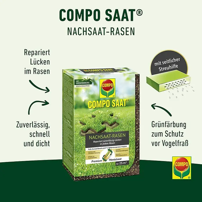 Compo Saat Nachsaat-Rasen Saat - 500 g, 25 m² - Grüne Box Compo Saat Nachsaat-Rasen, Rasenreparatursamen mit Grünfärbung zum Schutz vor Vogelfraß und seitlicher Streuhilfe.