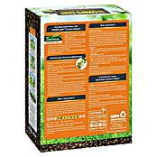 Compo Saat Rasensamen Trockenrasen (1 kg, 40 m²) | BAUHAUS