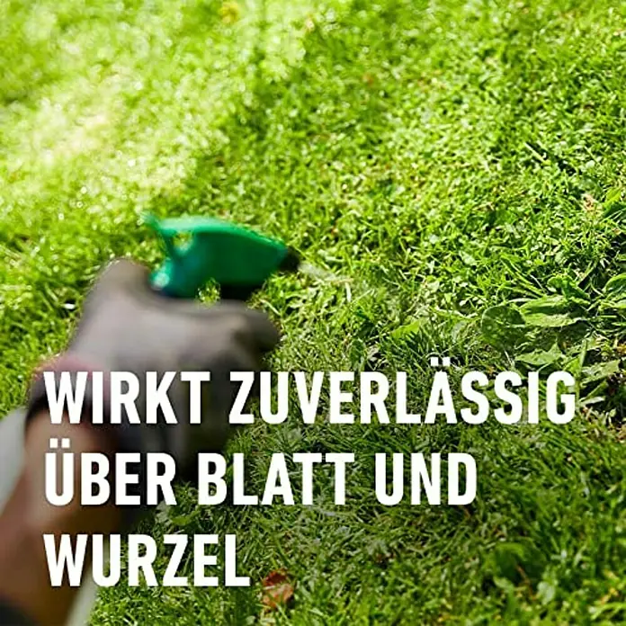 Compo Unkrautvernichter Perfekt - 200 ml - Eine Hand sprüht mit einer grünen Flasche Flüssigkeit auf Rasen zur Pflanzenbehandlung über Blatt und Wurzel.