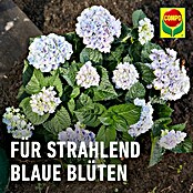 Compo Hortensiendünger Blaue Hortensien (800 g) | BAUHAUS