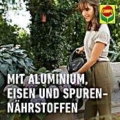 Compo Hortensiendünger Blaue Hortensien (800 g) | BAUHAUS
