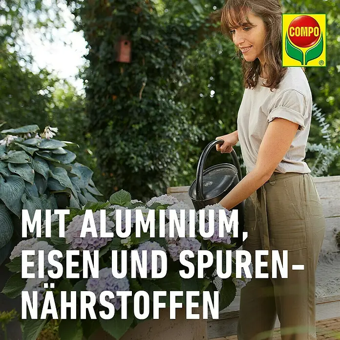 Compo Hortensiendünger Blaue Hortensien - 800 g - Frau gießt blühende Pflanzen mit einem COMPO-Produkt, das Aluminium, Eisen und Spurennährstoffe enthält.