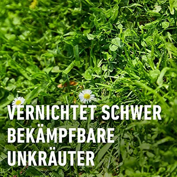Compo Unkrautvernichter Perfekt - 200 ml - Rasen mit Klee und Gänseblümchen. Text: "Vernichtet schwer bekämpfbare Unkräuter".