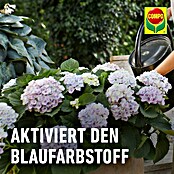 Compo Hortensiendünger Blaue Hortensien (800 g) | BAUHAUS