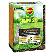 Compo Saat Rasensamen Trockenrasen (1 kg, 40 m²) | BAUHAUS