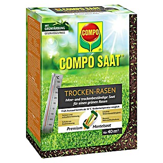 Compo Saat Rasensamen Trockenrasen (1 kg, 40 m²)