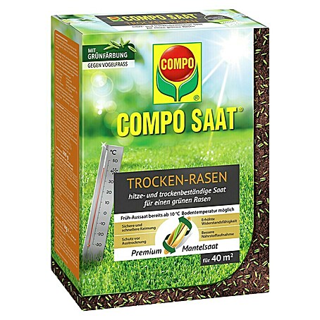 Compo Saat Rasensamen Trockenrasen (1 kg, 40 m²)