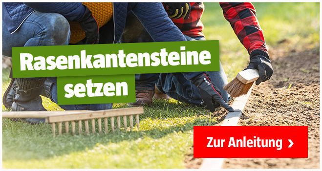 Teaser Rasenkantensteine setzen