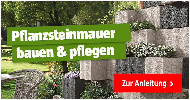 Pflanzsteinmauer anlegen