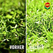 Compo Rasendünger Unkraut + Moos Komplettpflege (Max. Anwendungsfläche: 300 m²) | BAUHAUS