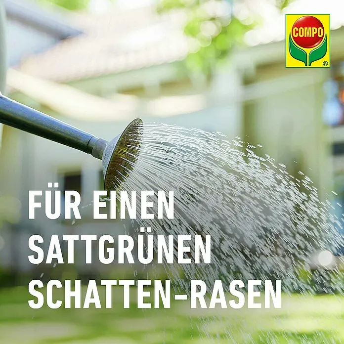 Compo Saat Rasensamen Schattenrasen - 300 g, 15 m² - COMPO: Eine Gießkanne besprüht einen sattgrünen Schatten-Rasen.