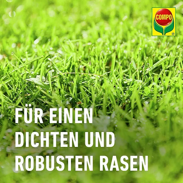 Compo Saat Rasensamen Reparatur Komplett-Mix+ - 1,2 kg, 6 m online kaufen  bei BAUHAUS