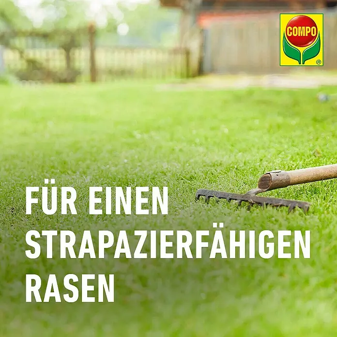 Compo Saat Rasensamen Strapazier-Rasen - 1 kg, 50 m² - Rasen mit Harke. Compo sorgt für strapazierfähiges Gras.