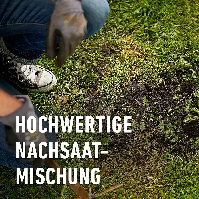 Compo Rasensamen Nachsaat-Rasen - 0,44 kg, 22 m² - Person kniet, bereitet Erde im Garten für hochwertige Nachsaatmischung vor.