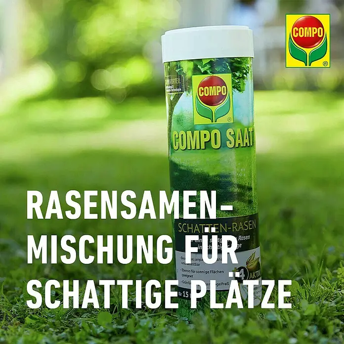 Compo Saat Rasensamen Schattenrasen - 300 g, 15 m² - Grüner zylindrischer Behälter COMPO SAAT Rasensamenmischung für schattige Plätze.
